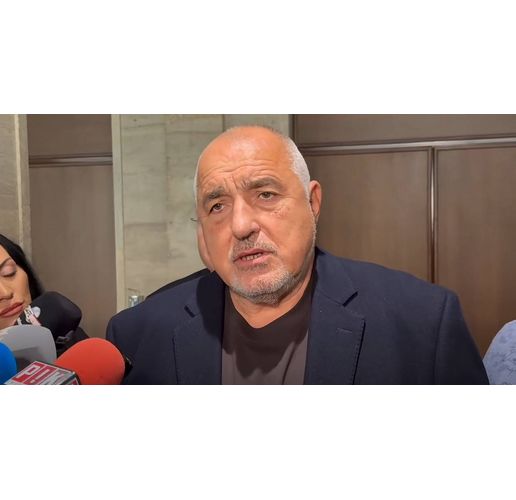 Лидерът на ГЕРБ Бойко Борисов