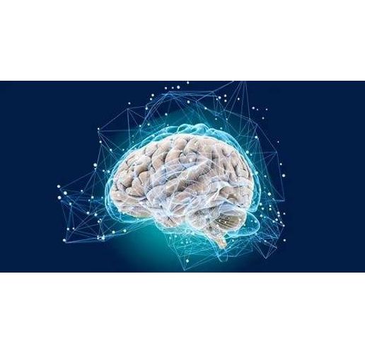 Изследването на триизмерната карта ще позволи да се разбере как се променят отделни части на мозъка при различни заболявания