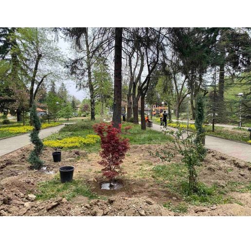 Нови дръвчета бяха засадени в парк "Клептуза"