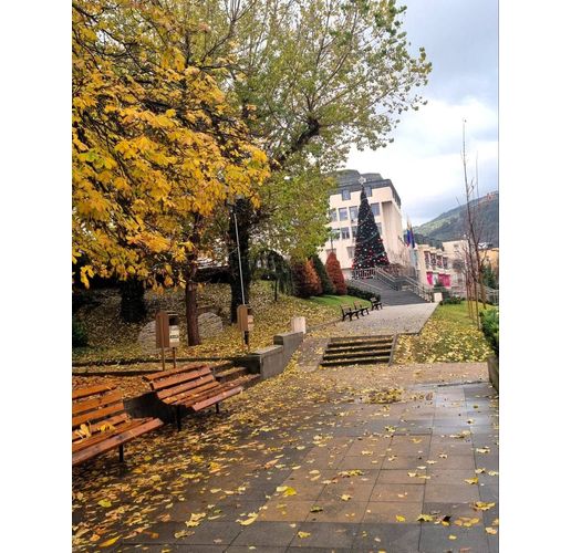 Община Асеновград