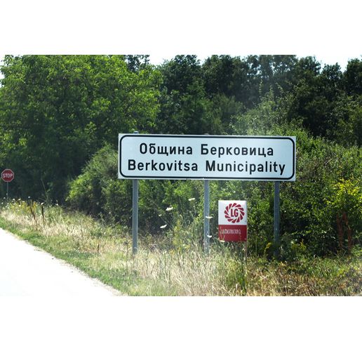 Община Берковица