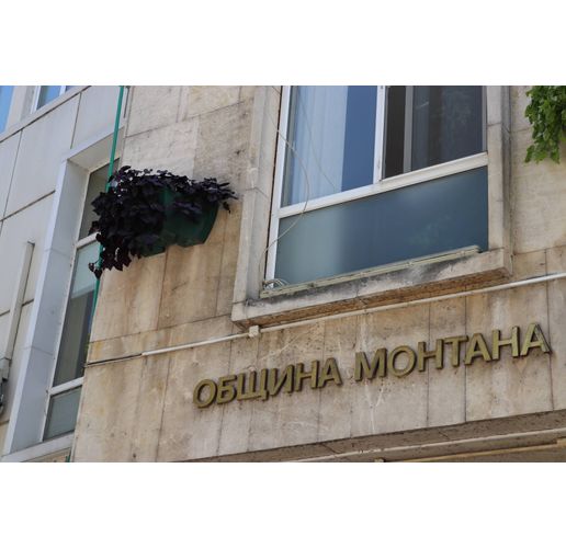 Община Монтана