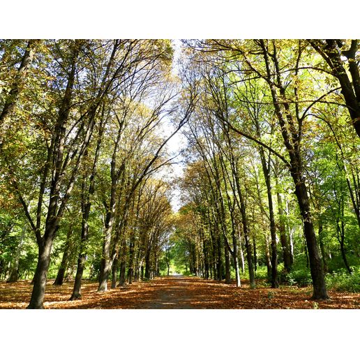 Община Нова Загора с нов мащабен международен проект за по-добра градска среда и климатична устойчивост