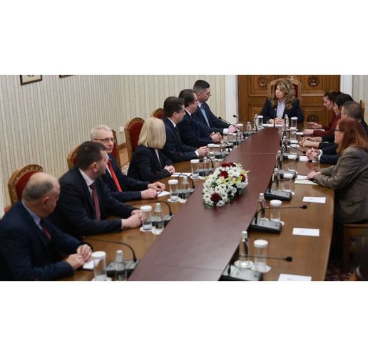 ПП-ДБ на консултациите с Илияна Йотова