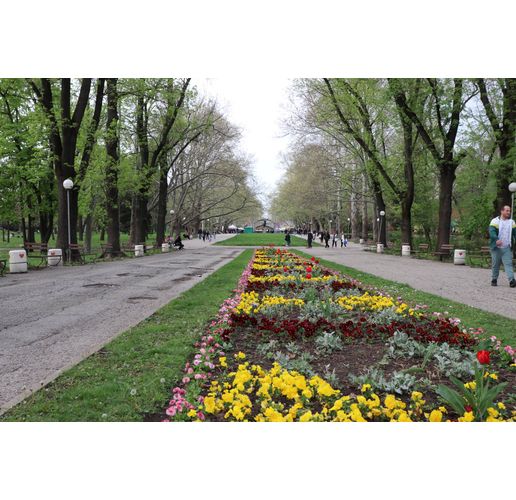 Парк в Русе