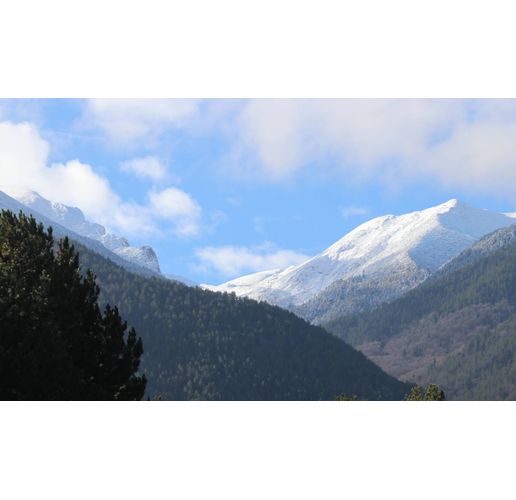 Пирин планина