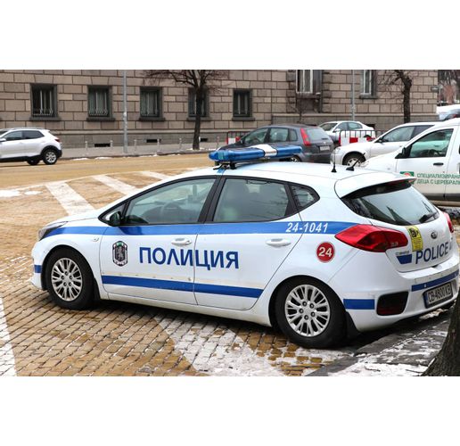 Полиция