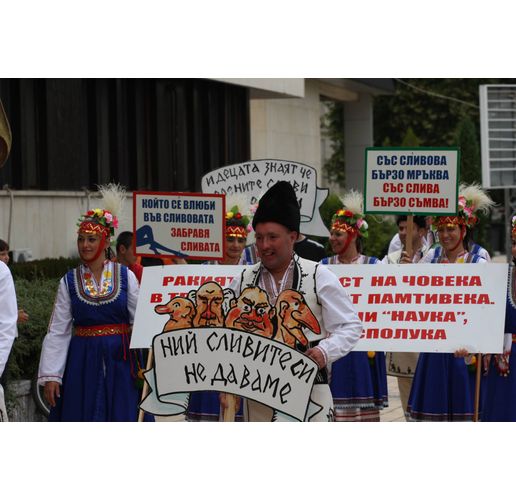 Празник на сливата в Троян