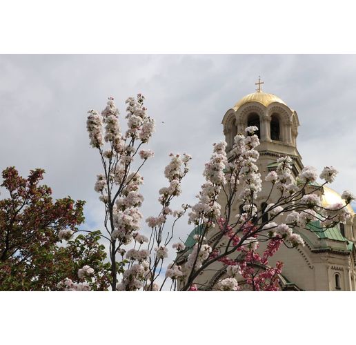 Катедрала "Св. Ал. Невски"