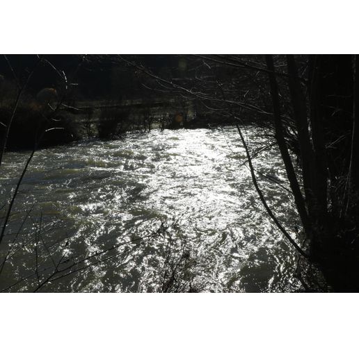 Пълноводна река