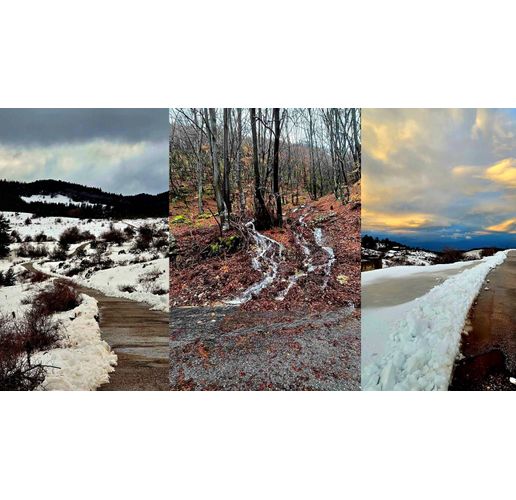 Пътната обстановка в община Асеновград