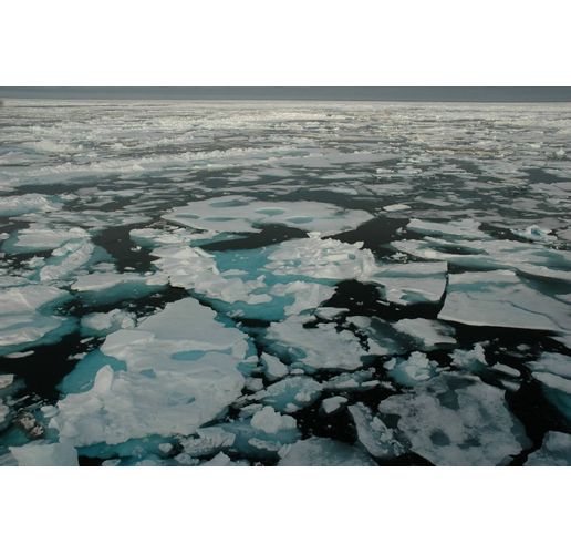 Северният ледовит океан