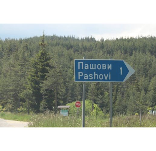 Село Пашови  