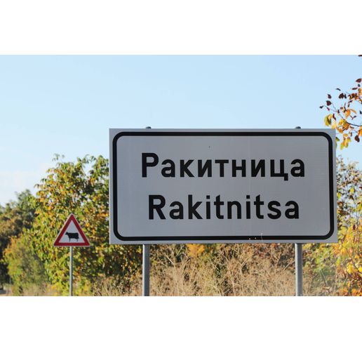 Село Ракитница