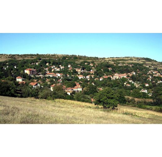 Село Типченица