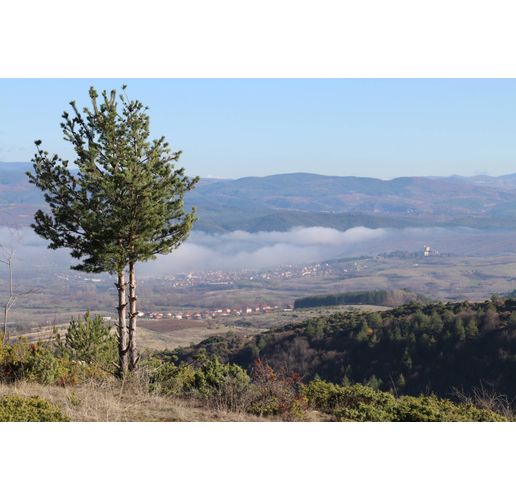 Слънчево есенно време