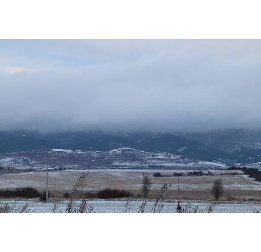 Студено зимно време