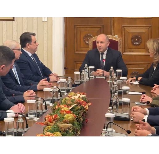 Среща на ПП-ДБ с Румен Радев