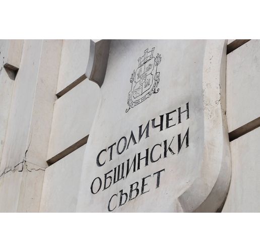 Столичен общински съвет (СОС)