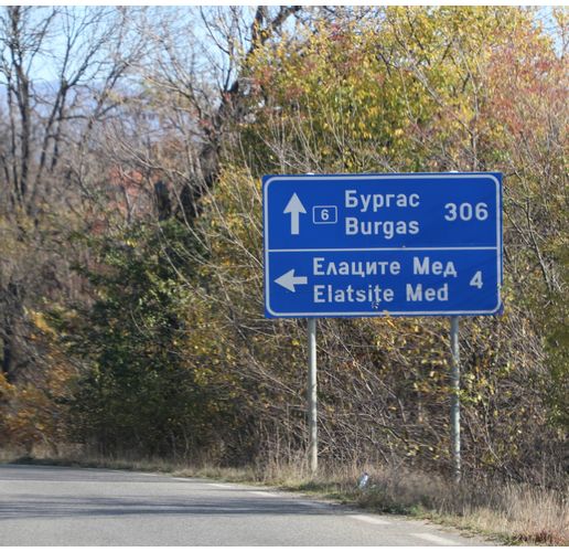 Елаците мед