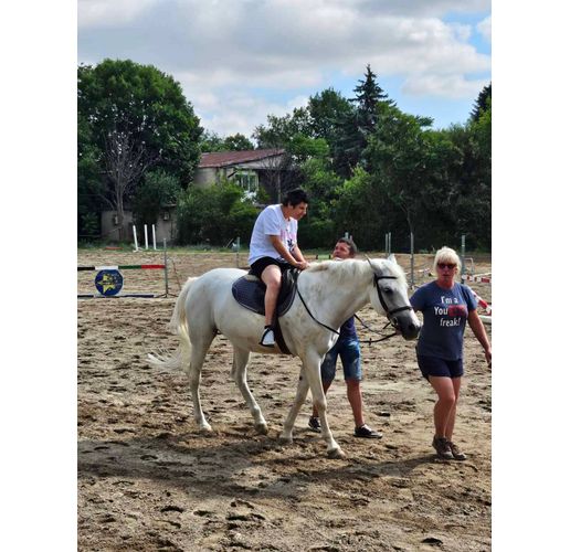 Алтернативна терапия с коне започва в социален център за младежи с увреждания в Търговище