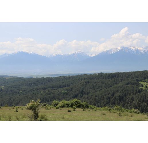 Топло и слънчево пролетно време