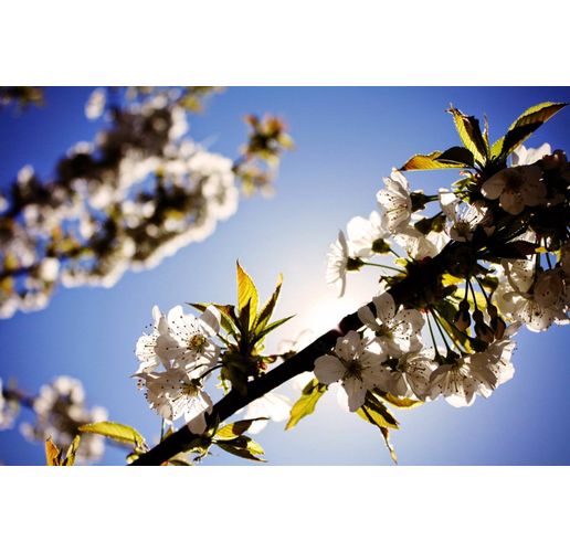 Пролетно време