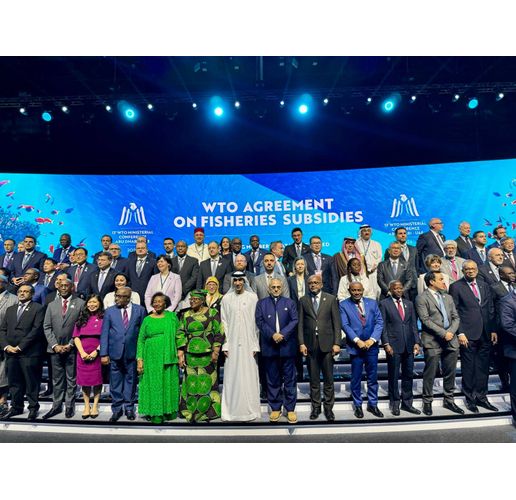 Тринадесетата Министерска конференция на Световната търговска организация