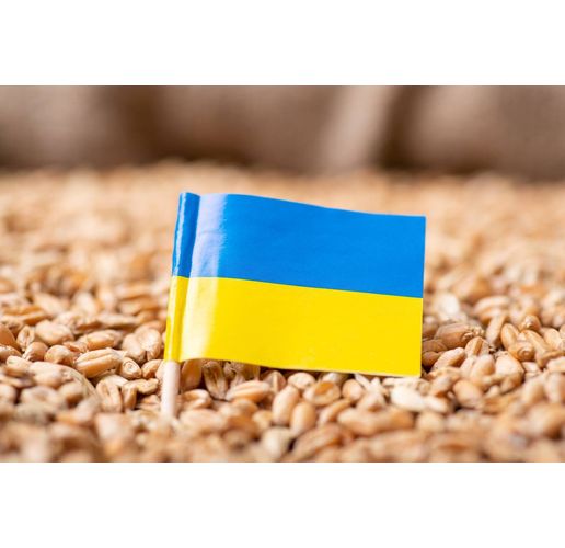 Украинско зърно