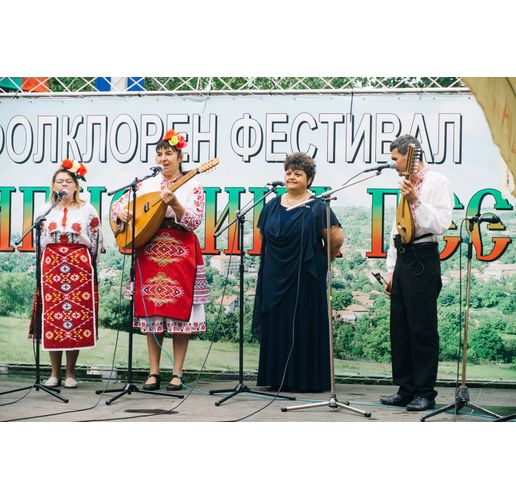 Фолклорен фестивал в село Типченица
