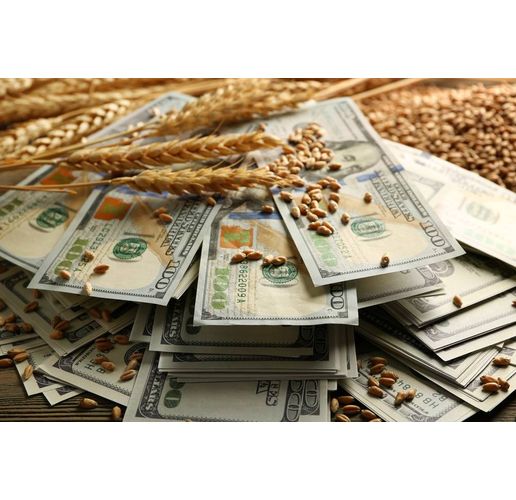 Цена на зърно