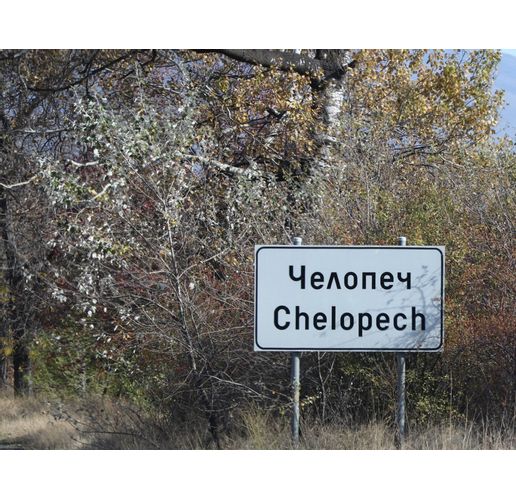 Челопеч табела