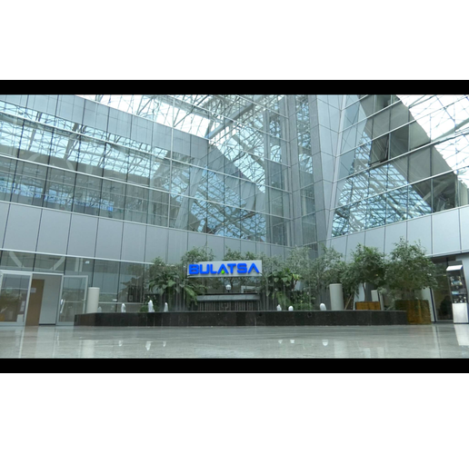 Ръководство на въздушното движение (ДП РВД) BULATSA 