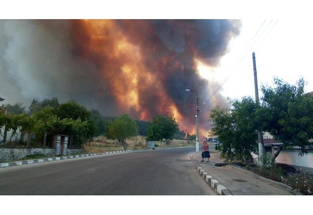 Овладян е пожарът възникнал между селата Старосел и Паничери Изгорели