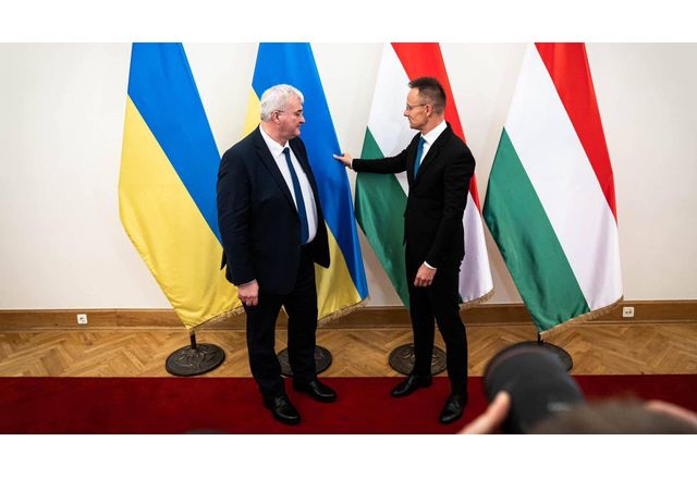 Няма нужда да се казва на украинския президент Володимир Зеленски