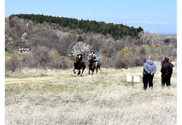 Държавно първенство по конен спорт край Асеновград