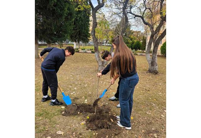 Община Асеновград приключи успешно кампанията за безвъзмездно раздаване на дървета