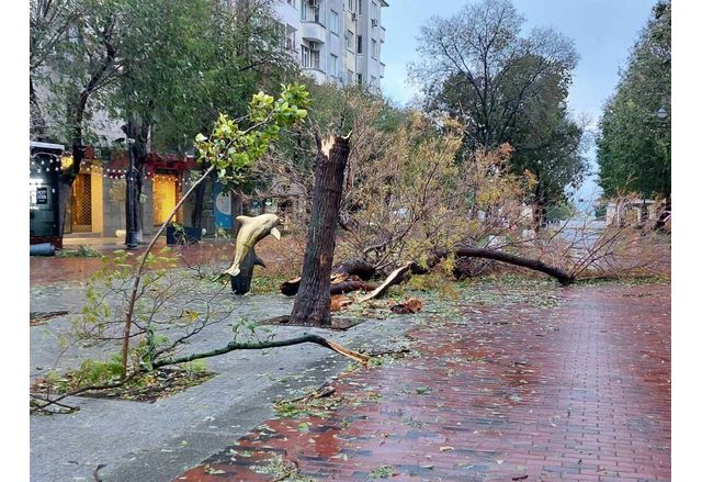 Във Варна обявиха бедствено положение заради бурята която отне човешки