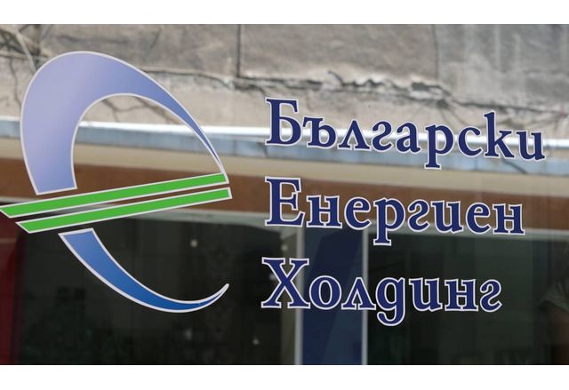 В качеството си на едноличен собственик на капитала на Български