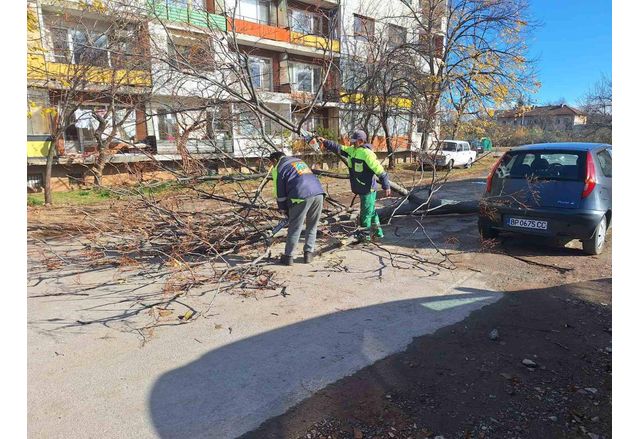 Екипите на БКС и Пожарна безопасност продължават премахването на паднали