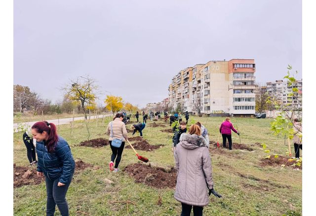 В рамките на инициативата Зелена Враца бяха засадени над 500
