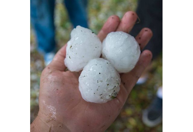 Градушка унищожи реколтата в с Ястребово Старозагорско съобщи БГНЕС Ледените