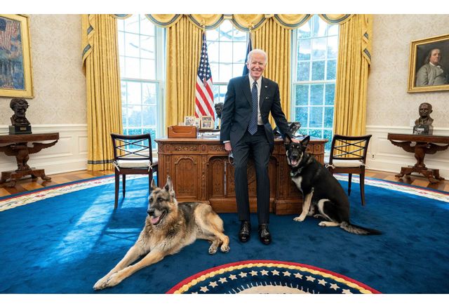 Джо Байдън с двете си кучета в Белия дом