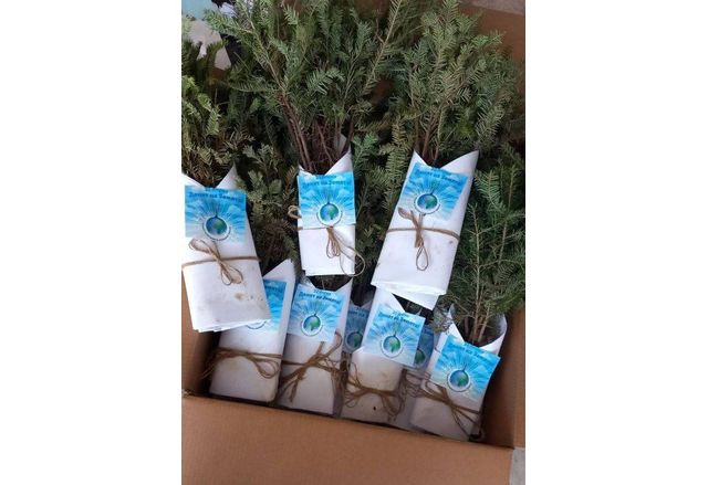 По повод Международния ден на Майката Земя International Mother Earth