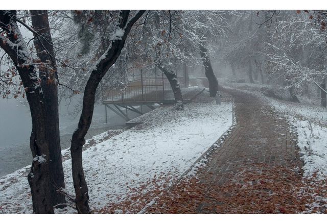Днес ще е облачно и с валежи от дъжд на