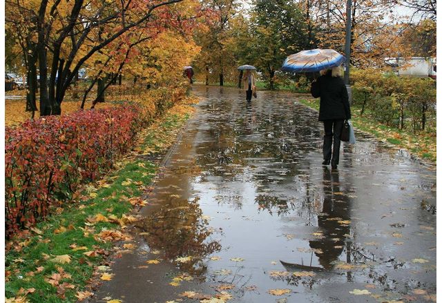 Днес ще бъде облачно Дъжд ще вали главно в Северна