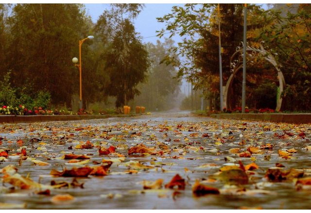 Днес ще преобладава облачно на места в равнините и мъгливо