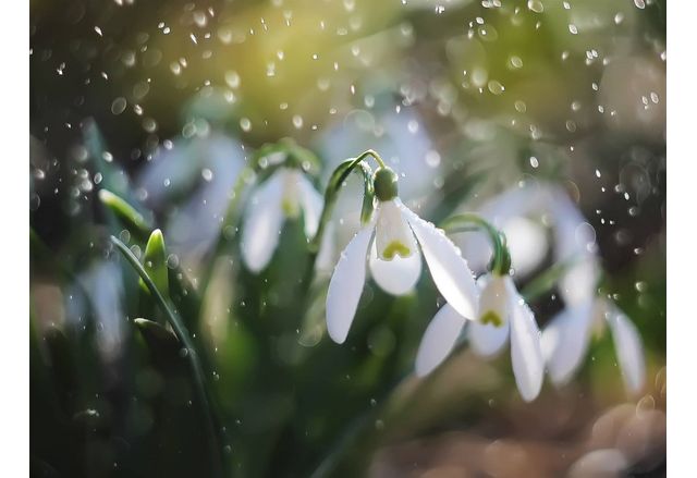 Днес ще бъде облачно в сутрешните часове на много места