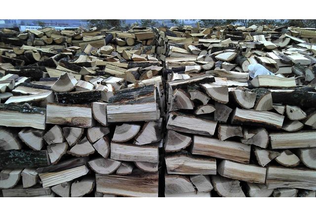 Община Хасково уведомява заинтересованите лица желаещи да закупят дърва за