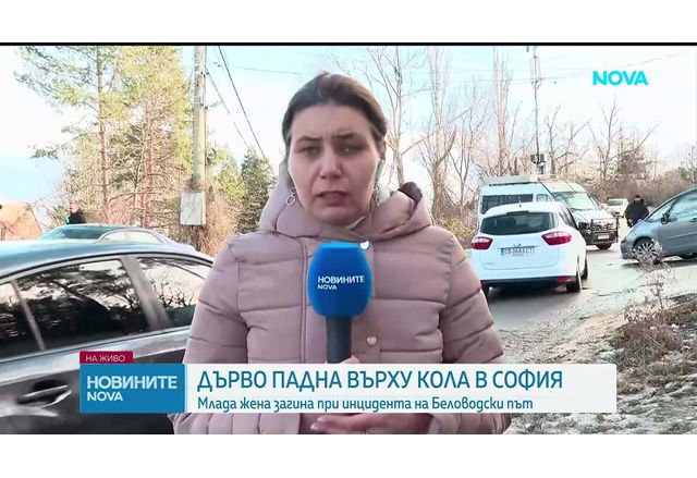 Майка на две деца почина след като дърво падна върху